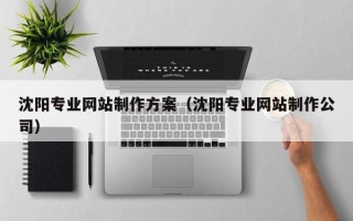 台湾沈阳专业网站制作方案（沈阳专业网站制作公司）
